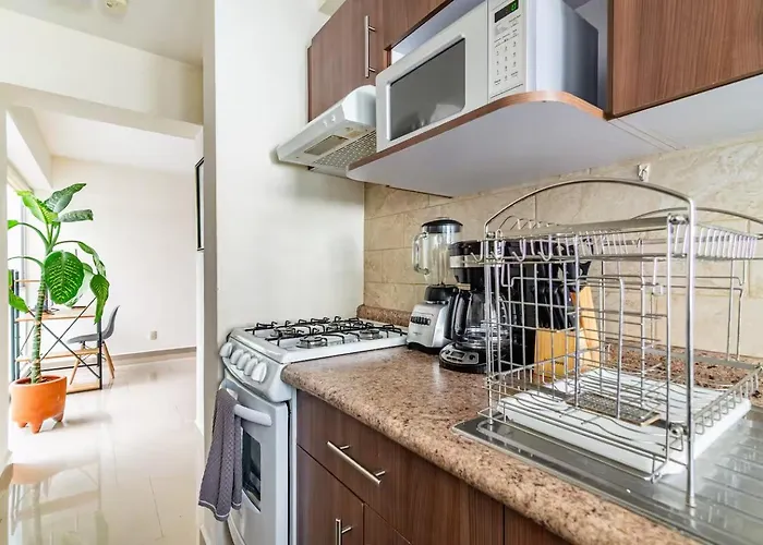 Apartment B602 - 2br - 2bth Mexico City
