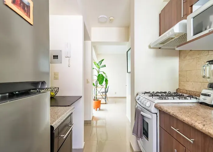 B602 - 2br - 2bth Mexico City
